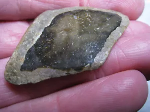 Rare Angular Clast Flint Quartz Crystal W/ Fossils Stone Kansas 11 Grams - Picture 1 of 12