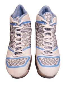 Nike Air Jordan 29 Pantone Shoes Sneakers 2014. Size 11. NO BOX - Picture 1 of 9