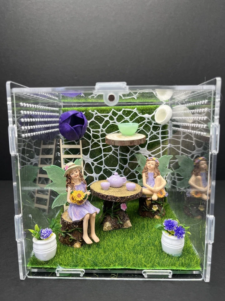 Tea Party Jumping Spider Enclosure  - Imagem 1 de 1