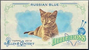 2014 Topps Allen & Ginter's Little Lions Mini" Russian Blue" - Picture 1 of 2