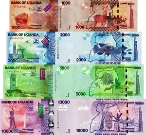 UGANDA - Lotto Lot 4 banconote 1000/2000/5000/10.000 Shillings - FDS UNC - Picture 1 of 1