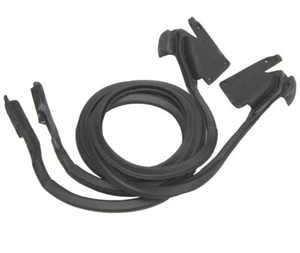 Ford Mustang y Mercury Cougar 1971-1973 puertas nuevas sellos de resistencia a la intemperie, par - Imagen 1 de 2