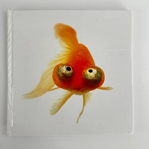 Kids Animal Ark book by Joel Sartore - National Geographic, Animals Poetry - Picture 1 of 12