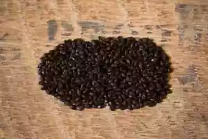 5 kg de cebada tostada triturada Maltmaster - Imagen 1 de 1
