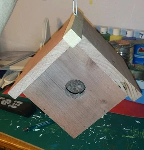 Unbemaltes Vogelhaus für Ihre wilden gefiederten Freunde. - Bild 1 von 8