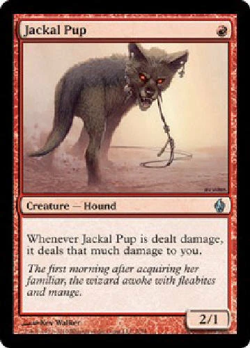 JACKAL PUP FOIL X4 4 4X Fire and Lightning MTG Magic the Gathering Cards DJMagic - Image 1 of 1