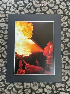 RARE ROCK MUSIC BAND TOUR ART PRINT , MOUNTED , DIE HUNNS , EUROPEAN TOUR - Picture 1 of 3