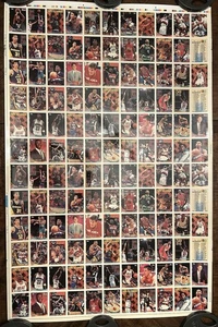 1993-94 Topps Basketball Uncut Sheet (2 Sheets) ##/20,000 - Picture 1 of 13