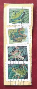 US 2019 Forever Used Frogs On Piece Mi 5632BD-5BD Scott 5395-8 Superb 4731-1 - Picture 1 of 2