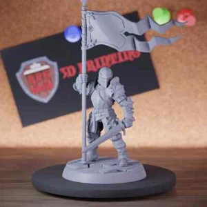 Female Knight Miniature Sword Fighter Mini Dungeons and Dragons DnD 5e TTRPG - Picture 1 of 8