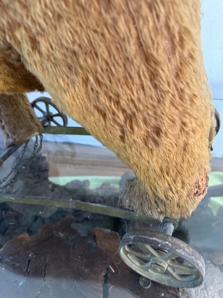 Oso Steiff sobre ruedas de principios de 1900 Foto 1 de 4