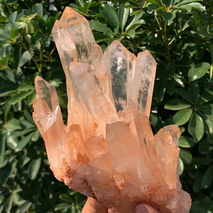 4.03LB A+++Large Natural white Crystal Himalayan quartz cluster /mineralsls - Picture 1 of 13