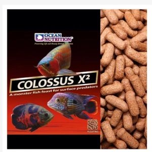 Ocean Nutrition Colossus Fish Food Nutritio FloatingTablet Type Premium Quality - Picture 1 of 13