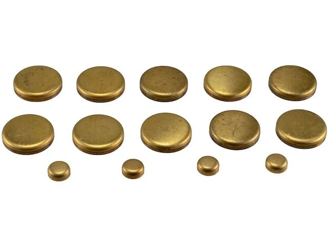 Expansion Plug Kit For 2003-2010 Ford F350 Super Duty 2005 2006 2004 RQ842BW - Image 1 of 1