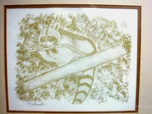 Ltd Ed RACCOON LITHOGRAPH Pencil Signed GERRY OSWALT w/COA Framed Under Glass - Picture 1 of 9