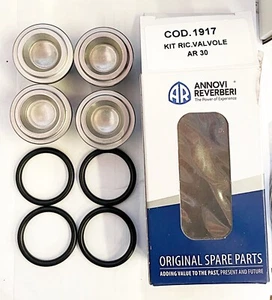Hypro /AR D30 Ventilpumpe Reparatursatz D30 REPARATURSATZ 9910-KIT1917 Ventile & Orings - Bild 1 von 3