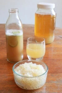 30g Organic Probiotic Live Water Kefir Grains - Picture 1 of 1