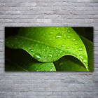 Canvas Print Wall Art On 120x60 Image Picture Dew Drops Leaf Floral