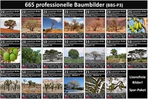 665 photos professionnelles libres de droits ! Arbres ! NP 380,- Photoshop ! (Libre de droits) - Photo 1/21