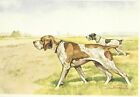 1930s Era Italy Dog Art Print NORFINI Postcard GERMAN SHORTHAIRED POINTER