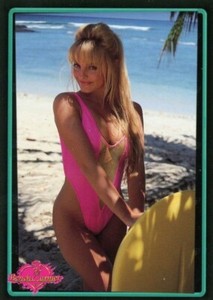 1994 Bench Warmer Series 2 #131 - Heidi Staley