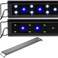 aquarium blue light at night