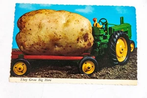 Sie werden hier groß - Kartoffel Postkarte ohne Versand - Bild 1 von 2