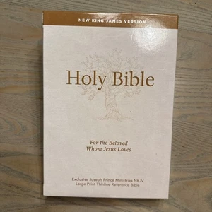 Joseph Prince Ministries NKJV Large Print Thinline Reference Bible Gilded Pgs #B - Picture 1 of 13