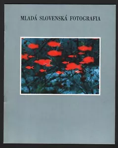 MLADA SLOVENSKA FOTOGRAFIA, Modern Czech Photography, Young Photographers, RARE - Bild 1 von 3