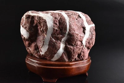 U8549: Cultura de piedra japonesa o pasatiempo de ver piedra en interiores, bonsái con bandeja Foto 1 de 4