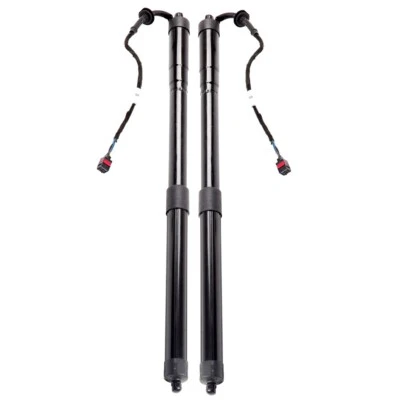 For 2015-2017 Porsche Cayenne Electric Tailgate Lift Supportss Struts Shock 2 pc Foto 1 de 4