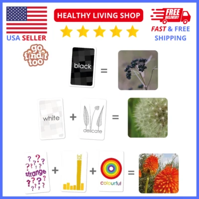 Family Quest Treasure Hunt Game – Outdoor Adventure Backyard Fun for Kids - Image 1 of 4