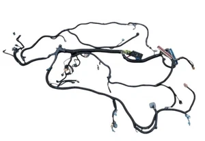 LS Truck Engine Harness - 4L80e - '99-'02 DBC RED/BLUE Chevy GMC 6.0 4.8 5.3 OEM - Picture 1 of 8