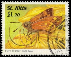 ST. KITTS 448 - Feuriger Skipper "Hylephila phylaeus" (pb59396) - Bild 1 von 1