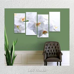 Orchidea bianca QUADRI MODERNI XXL FIORI ARREDAMENTO SPA ZEN STAMPA QUADRO FIORI - Foto 1 di 1