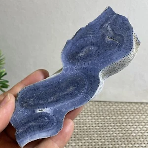 138g Natural Blue Coral Reef Cluster Marine Mineral Crystal Specimen - Picture 1 of 13