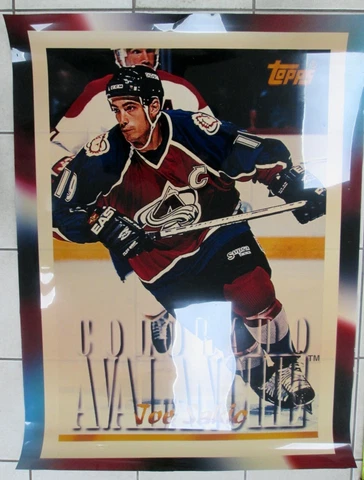 JOE SAKIC 47 1/2" x 35 1/2 " NHL LED Backlit Light Box Poster ~ see details #1 Cover