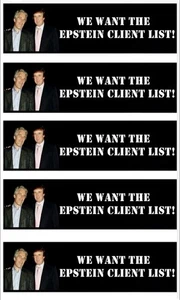 WIR WOLLEN DIE EPSTEIN KUNDENLISTE Vinyl Aufkleber 4 x 2,5 Zoll🔥TRUMP🔥5 AUFKLEBER - Bild 1 von 1