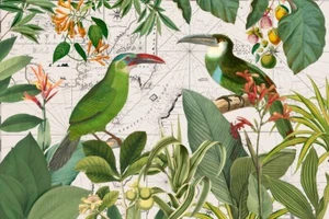 Parrots Nostalgic Journey by Andrea Haase Giclee Art Print on Paper or Canvas - Picture 1 of 3