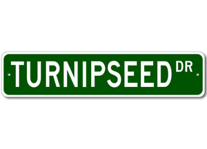Turnipseed Drive Street Sign Personalized Custom Last Name Sign - Aluminum