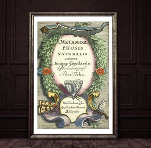 Poster Druck Metamorphose Raupe zu Schmetterling Libelle Motten Insekten - Bild 1 von 5