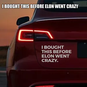 Sticker waterproof Window Door I bought this before elon Musk went crazy Decal - Bild 1 von 16