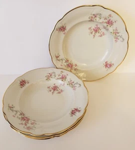 Hutschenreuther Werdenfelz Form Goldrand rosa Blumen - 4 SUPPENSCHÜSSELN MIT UMRANDUNG - Bild 1 von 4