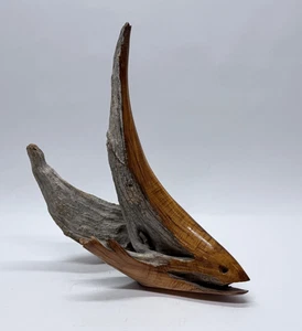 Geschnitzter Beta Fisch Treibholz einzigartige Naturkunst signiert vom Künstler Brent befreit 2008 - Bild 1 von 7