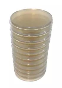 Pre-poured Agar Petri Dishes in 90mm Plates, Nutrient, Malt Extract, MEYA, PDA - Picture 1 of 2