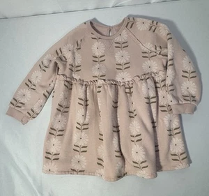 Little Co Lauren Conrad Floral Sweatshirt Dress Pink Ruffles Fleece Top Girls 4T - Picture 1 of 12