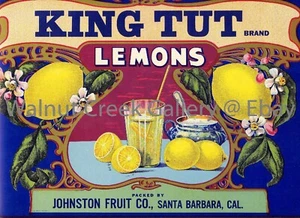 Florida Crate Label Fine Art Print, Juice, approx 13.8"x 10" 13124 - Picture 1 of 1