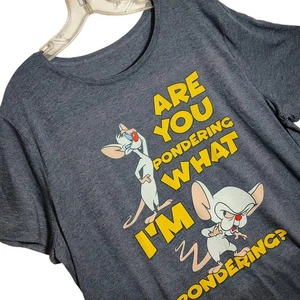 Pinky and the Brain T-Shirt Warner Bros Cartoon Gray Graphic Tee 3XL Gildan - Picture 1 of 9