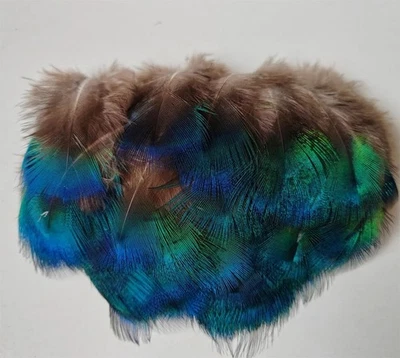 50 plumas corporales naturales de pavo real para joyería y manualidades 5-8 cm Foto 1 de 4