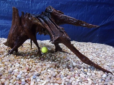 XX-Large Driftwood 16"x40"x18" Aquarium Terrarium Reptile Natural Art - Image 1 of 4